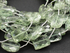Green Amethyst Medium Micro faceted Chicklets, (GAMmedchic)