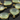 Light Green Chalcedony Faceted Pear Bezel (BZC7024) - Beadspoint