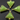 Apple Green Chalcedony Faceted Triangle Connector, (BZC7579) - Beadspoint