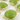 Apple Green Chalcedony Faceted Coin Bezel, (BZC7254) - Beadspoint