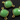 Chrysoprase Faceted Cushion Bezel, (BZC3027) - Beadspoint