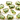 Green Amethyst Fancy Bezel Connector (BZC9042/CNT/GAM) - Beadspoint