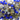 Ranibow, Lapis & Labradorite 3 Stone Wire Wrapped Rosary, (RS-MIX-18) - Beadspoint