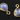 Rainbow Moonstone Smooth Pear Bezel, (RNB011) - Beadspoint