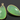 Green Chalcedony Faceted Pear Bezel, (BZC7053) - Beadspoint