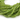 Green Peridot Faceted Rondelles (PERI/5-6mm/RND) - Beadspoint