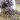 Labradorite Moonstone & Amethyst Faceted Rosary, (RS-MIX-8) - Beadspoint