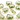 Green Amethyst Fancy Bezel Connector (BZC9042/CNT/GAM) - Beadspoint
