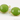 Apple Green Chalcedony Faceted Coin Bezel, (BZC7254) - Beadspoint
