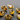 Genuine Citrine Oval Bezel Connector, (CIT004) - Beadspoint