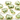 Green Amethyst Fancy Bezel Connector (BZC9042/CNT/GAM) - Beadspoint