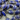 Dyed Blue Sapphire Corundum Faceted Oval Rosary, (BC-DSP-69) - Beadspoint