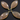 Sand Chalcedony Faceted Marquise Bezel, (BZC7216) - Beadspoint