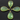 Green Chalcedony Faceted Pear Bezel, (BZC7282) - Beadspoint
