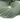 Green Amethyst Micro Faceted Rondelles, (GAMT-2RNDL) - Beadspoint