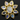 Natural Moonstone Fancy Flower Pendant , (BZC9006-C) - Beadspoint