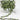 Green Amethyst Pear Faceted Bezel Chain, (BC-GAM-195) - Beadspoint