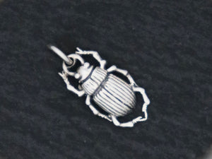 Sterling Silver bug charm -- (SS/CH7/CR19) --CRC - Beadspoint
