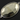 Pyrite Faceted Oval Connector, (SSBZC7352-C) - Beadspoint
