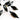 Black Onyx