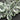 Green-Amethyst