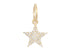14k Solid Gold & Diamond Star Pendant,  (14K-DP-196)