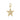 Pave Diamond Star Pendant, (DPM-1296)