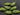 Apple Green Chalcedony Faceted Pear Bezel, 15x30 mm (BZC7066) - Beadspoint