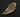 Druzy Gold Electroplated Wing Pendant, (DZY/8002/CHM/W) - Beadspoint