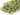 Green Chalcedony Faceted Oval Chain, (GMC-GCL-12X15) - Beadspoint