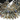 Labradorite w/ Blue Flash Faceted Marquise, (LAB/Mrq/8x16) - Beadspoint