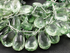 Green Amethyst Faceted Pear Shape Drops, (GAM10x14-12x18)