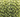 Peridot Round Beads Rosary Chain, (RS-PDT-30) - Beadspoint