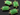 Chrysoprase Chalcedony Chicklet Shape Bezel, (BZC7460) - Beadspoint