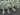 Green Amethyst Micro Faceted Long Pencil Tear Drops, (4GAMmedpencil) - Beadspoint