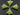 Apple Green Chalcedony Faceted Triangle Connector, (BZC7579) - Beadspoint