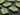 Green Chalcedony Faceted Chicklet Bezel, (BZC7477) - Beadspoint