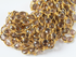 Smokey Topaz Oval Faceted Bezel Chain in Yellow Gold, 13x11 mm, (GMC-STZ-13x11)