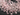 Rose Quartz Faceted Baby Onion Drops,  (RQ5-6ONION) - Beadspoint
