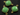 Chrysoprase Faceted Cushion Bezel, (BZC3027) - Beadspoint