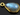 Labradorite Smooth Bezel Baby Pear,  (LABP013) - Beadspoint