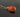 Carnelian Faceted Bezel Pendant, Gold Vermeil, 11x18 mm (CPNDT065-A) - Beadspoint