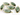 Green Amethyst Faceted Marquise Bezel,(BZC7210) - Beadspoint