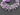 Pink Amethyst Flat Faceted Pear Shape Beads, (PAM9x11-10x16PEAR) - Beadspoint