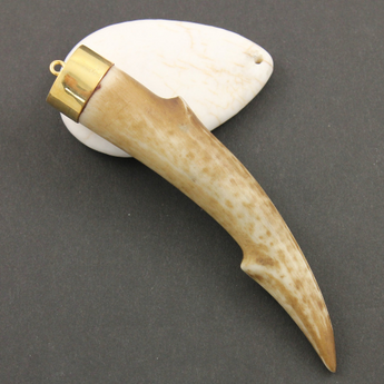 Wood Pendant Antler Tusk Pendant, (HRN-3000) - Beadspoint