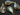 Labradorite Faceted Pear Bezel, (LBZC007) - Beadspoint