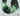 Natural Shaded Emerald Faceted Rondelle Beads, (EMRLDS34RNDL) - Beadspoint