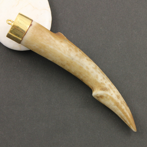 Wood Pendant Antler Tusk Pendant, (HRN-3000) - Beadspoint