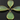 Green Chalcedony Faceted Pear Bezel, (BZC7282) - Beadspoint