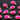 Fuschia Pink Chalcedony Faceted Baby Pear Bezel, (BZC7392-A) - Beadspoint